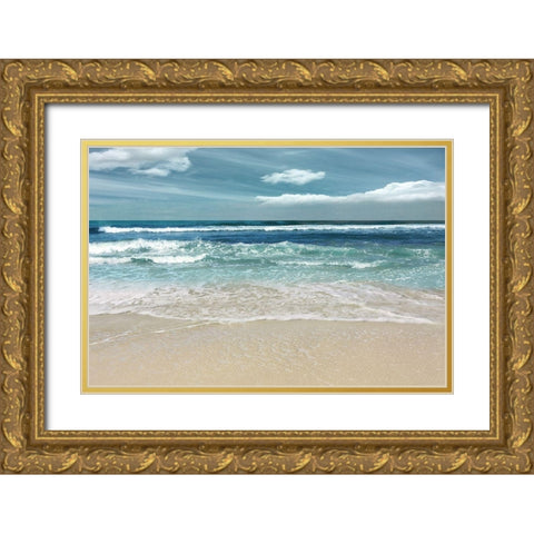 Symphony of the Sea Gold Ornate Wood Framed Art Print with Double Matting by Nan