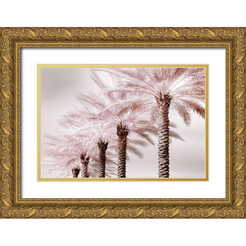 Stately Palms Gold Ornate Wood Framed Art Print with Double Matting by Delimont, Danita