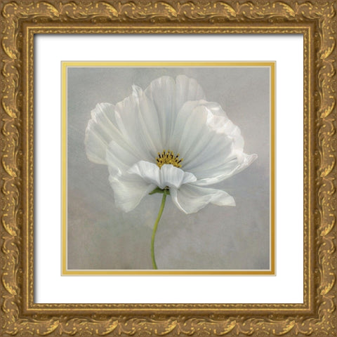 Daisy Detail Gold Ornate Wood Framed Art Print with Double Matting by Disher, Mandy
