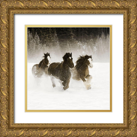 Winter Roundup II Gold Ornate Wood Framed Art Print with Double Matting by Delimont, Danita
