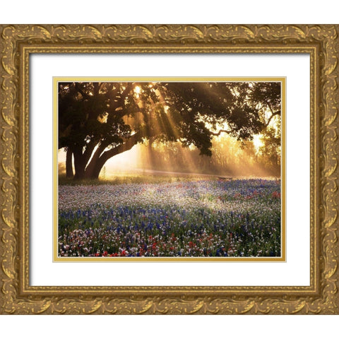 Morning Meadow Gold Ornate Wood Framed Art Print with Double Matting by Delimont, Danita