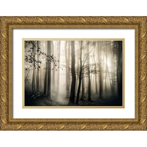 Light is Always Gold Ornate Wood Framed Art Print with Double Matting by Weisz, Irene
