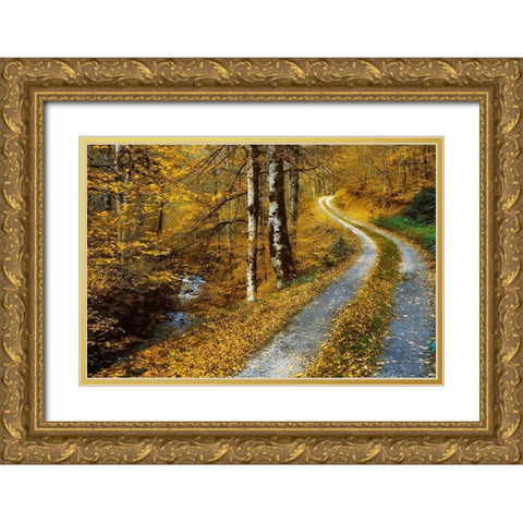 Winding Road Gold Ornate Wood Framed Art Print with Double Matting by Van de Goor, Lars