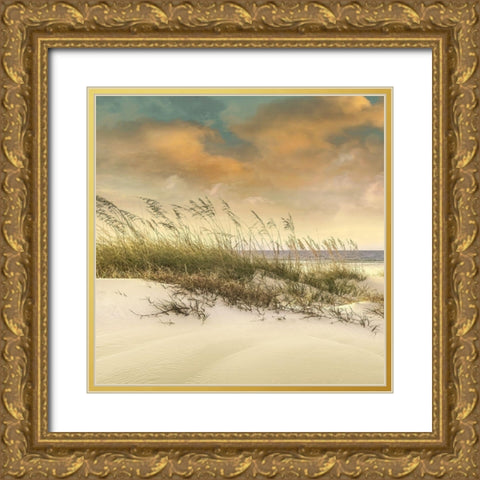 West Breeze Gold Ornate Wood Framed Art Print with Double Matting by Calascibetta, Mike