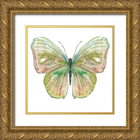 Soft Wings II Gold Ornate Wood Framed Art Print with Double Matting by Robinson, Carol
