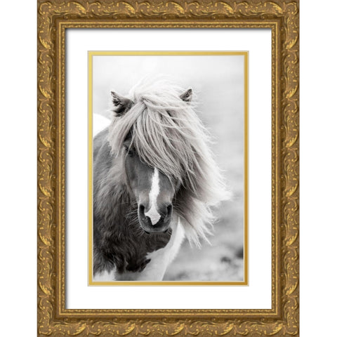 Shetland Summer Gold Ornate Wood Framed Art Print with Double Matting by Zwick, Martin