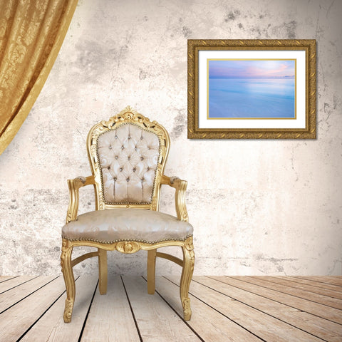 Midway Atoll Gold Ornate Wood Framed Art Print with Double Matting by Delimont, Danita