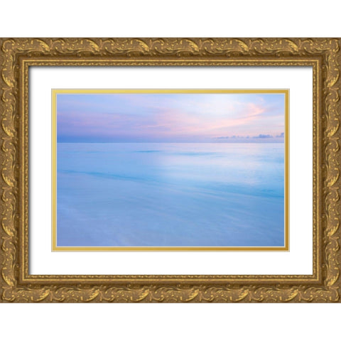 Midway Atoll Gold Ornate Wood Framed Art Print with Double Matting by Delimont, Danita