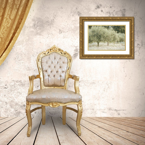 Paintograph Olive Trees Gold Ornate Wood Framed Art Print with Double Matting by Van de Goor, Lars