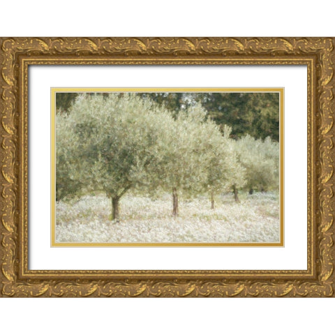 Paintograph Olive Trees Gold Ornate Wood Framed Art Print with Double Matting by Van de Goor, Lars