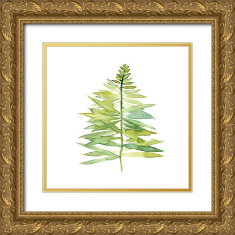 Tropical Botanical II Gold Ornate Wood Framed Art Print with Double Matting by Robinson, Carol