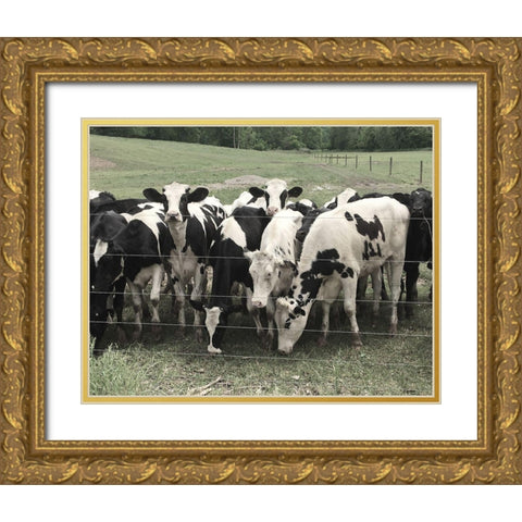Mooove Over Gold Ornate Wood Framed Art Print with Double Matting by Nan