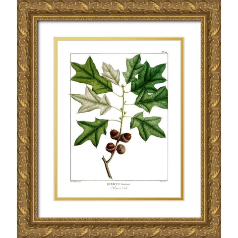 Bears Oak Gold Ornate Wood Framed Art Print with Double Matting by Donovan, Kelly