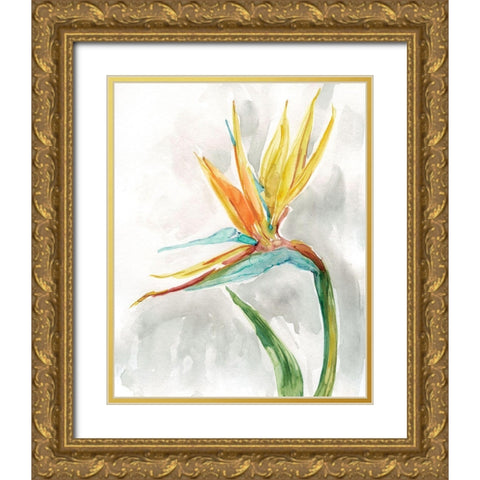 Bird of Paradise II Gold Ornate Wood Framed Art Print with Double Matting by Robinson, Carol