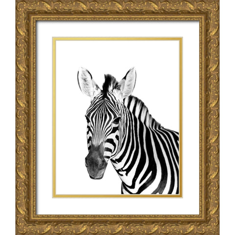 Safari Zebra Gold Ornate Wood Framed Art Print with Double Matting by Westmoreland, Robin