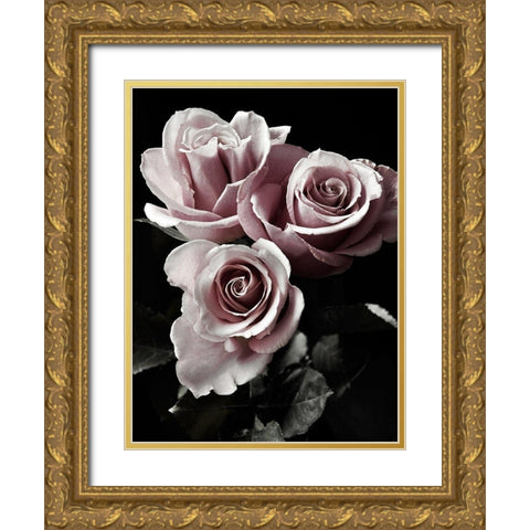 Rose Noir I Gold Ornate Wood Framed Art Print with Double Matting by Miller, Anna
