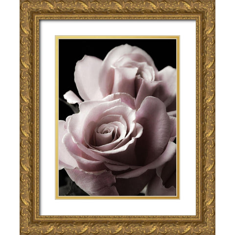 Rose Noir II Gold Ornate Wood Framed Art Print with Double Matting by Miller, Anna