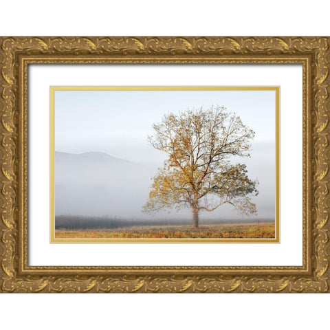 Cades Cove Gold Ornate Wood Framed Art Print with Double Matting by Collins, Ann