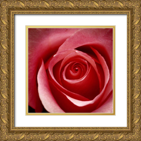Wild Rose Gold Ornate Wood Framed Art Print with Double Matting by Wild, JandJ