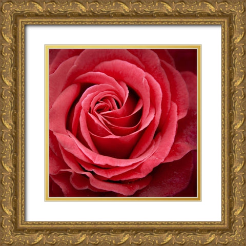 Palais Rose Gold Ornate Wood Framed Art Print with Double Matting by Wild, JandJ