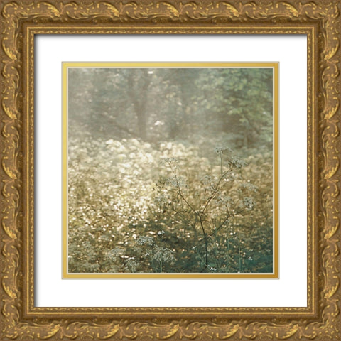 Foret De Tenom Detail Gold Ornate Wood Framed Art Print with Double Matting by Van de Goor, Lars