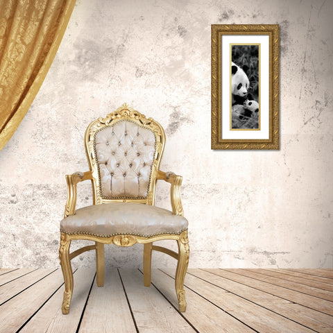 Panda Play Gold Ornate Wood Framed Art Print with Double Matting by Su, Keren