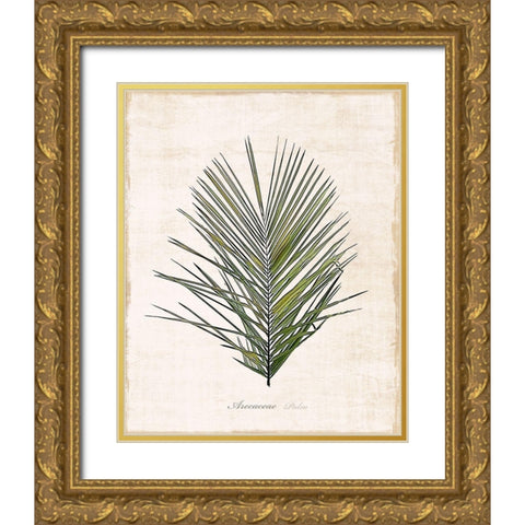 Palm Botanical I Gold Ornate Wood Framed Art Print with Double Matting by Carpentieri, Natalie