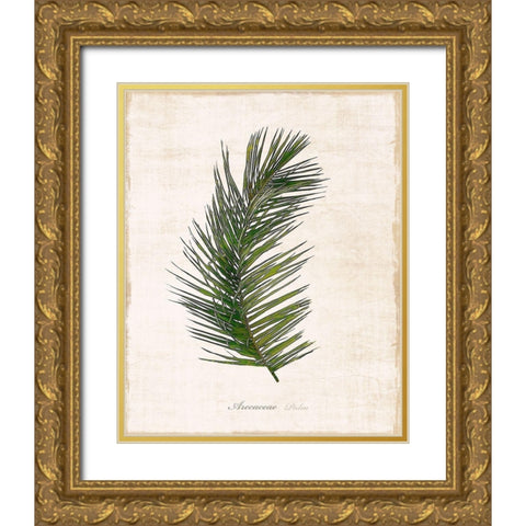 Palm Botanical II Gold Ornate Wood Framed Art Print with Double Matting by Carpentieri, Natalie
