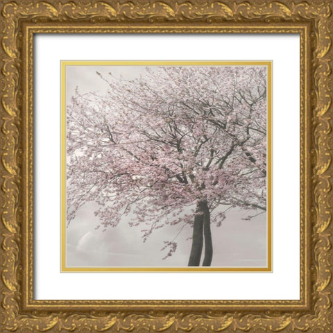 Blush in the Wind II Gold Ornate Wood Framed Art Print with Double Matting by Weisz, Irene