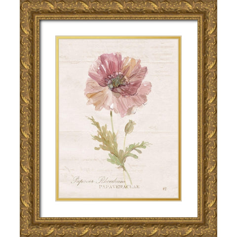 Soft Poppy Gold Ornate Wood Framed Art Print with Double Matting by Robinson, Carol