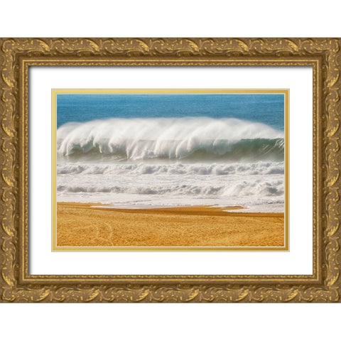 The Challenge Gold Ornate Wood Framed Art Print with Double Matting by Van de Goor, Lars
