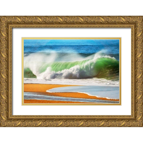 The Wave Gold Ornate Wood Framed Art Print with Double Matting by Van de Goor, Lars