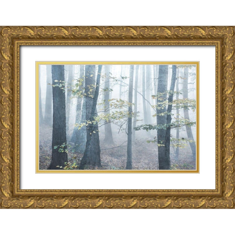 Chalky Misty Gold Ornate Wood Framed Art Print with Double Matting by Weisz, Irene