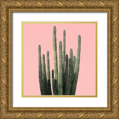 Island Succulent Gold Ornate Wood Framed Art Print with Double Matting by Carpentieri, Natalie