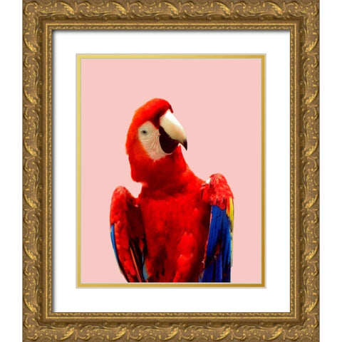 Honduras Wildlife Gold Ornate Wood Framed Art Print with Double Matting by Carpentieri, Natalie