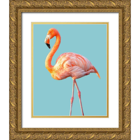 Flamingo Gold Ornate Wood Framed Art Print with Double Matting by Jannsen, Brian