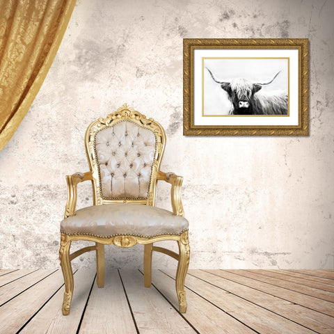 Highland Longhorn Gold Ornate Wood Framed Art Print with Double Matting by Edmonds, Cora
