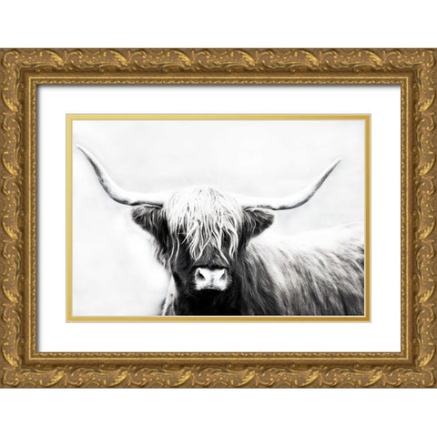 Highland Longhorn Gold Ornate Wood Framed Art Print with Double Matting by Edmonds, Cora