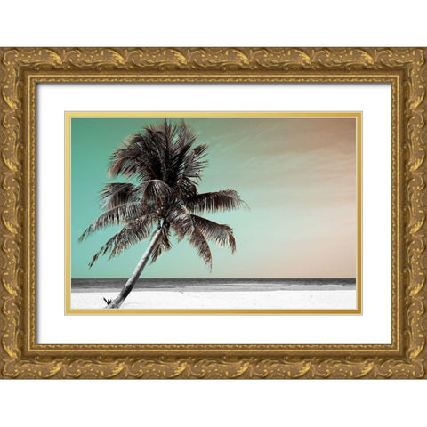 Barrier Reef Gold Ornate Wood Framed Art Print with Double Matting by Delimont, Danita