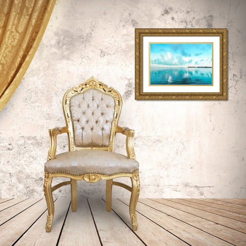 Biscayne Bay Gold Ornate Wood Framed Art Print with Double Matting by Delimont, Danita