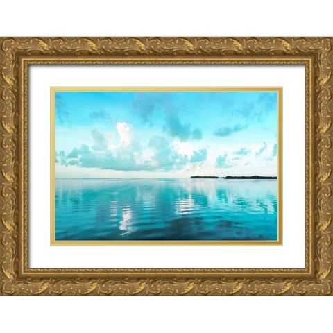 Biscayne Bay Gold Ornate Wood Framed Art Print with Double Matting by Delimont, Danita