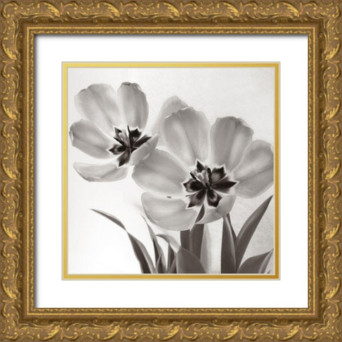 Tulip Dream Gold Ornate Wood Framed Art Print with Double Matting by Donovan, Kelly