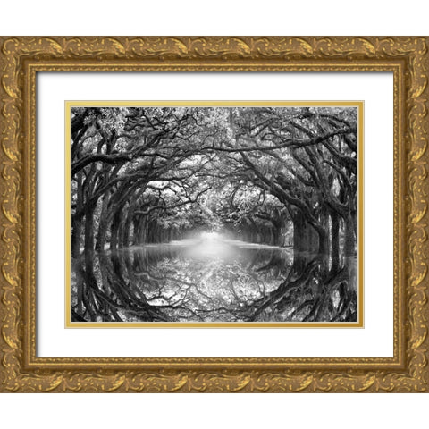 Oak Alley Reflection Gold Ornate Wood Framed Art Print with Double Matting by Wells, Joanne