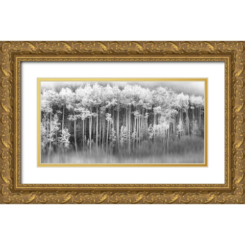 Dreamy Aspen Gold Ornate Wood Framed Art Print with Double Matting by Miller, Anna