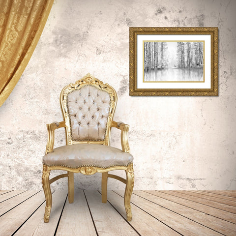 Aspen Reflection Gold Ornate Wood Framed Art Print with Double Matting by Gulin, Darrell