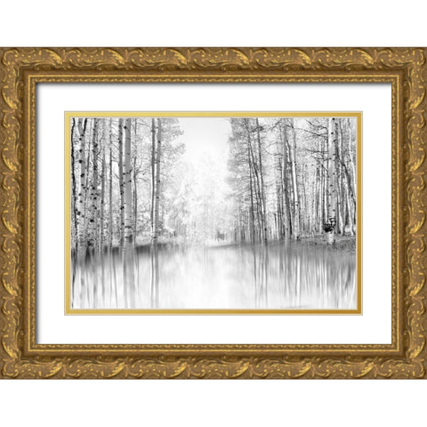 Aspen Reflection Gold Ornate Wood Framed Art Print with Double Matting by Gulin, Darrell