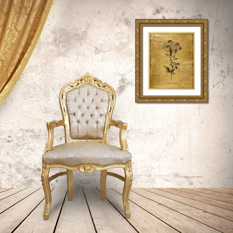 Gold Sketch Botanical II Gold Ornate Wood Framed Art Print with Double Matting by Donovan, Kelly