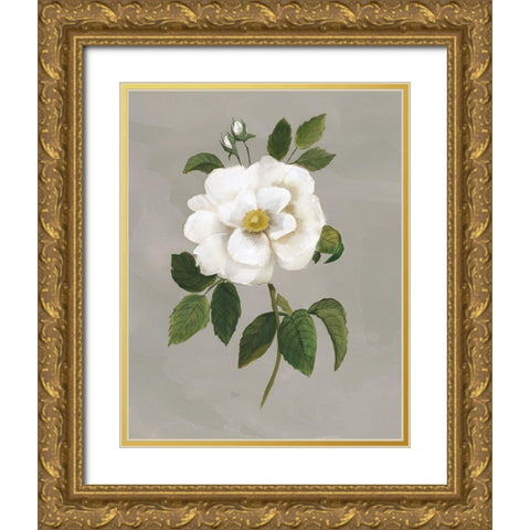 Botanical Garden Rose Gold Ornate Wood Framed Art Print with Double Matting by Nan