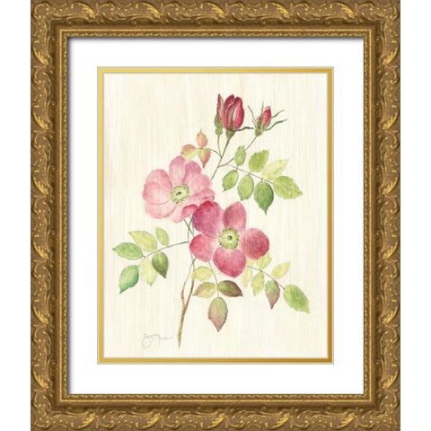 Dusty Rose I Gold Ornate Wood Framed Art Print with Double Matting by Tava Studios