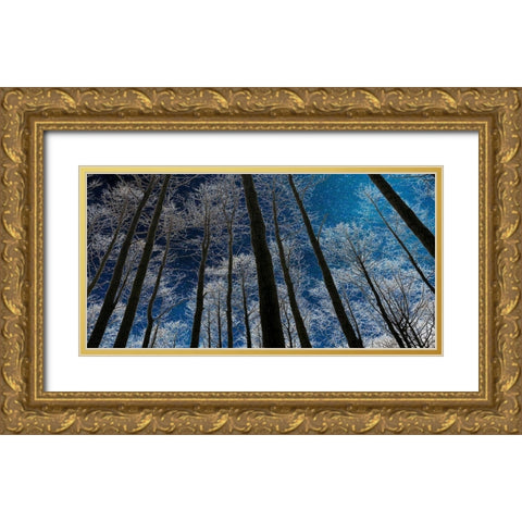 Night Silhouette Gold Ornate Wood Framed Art Print with Double Matting by Jill, Susan